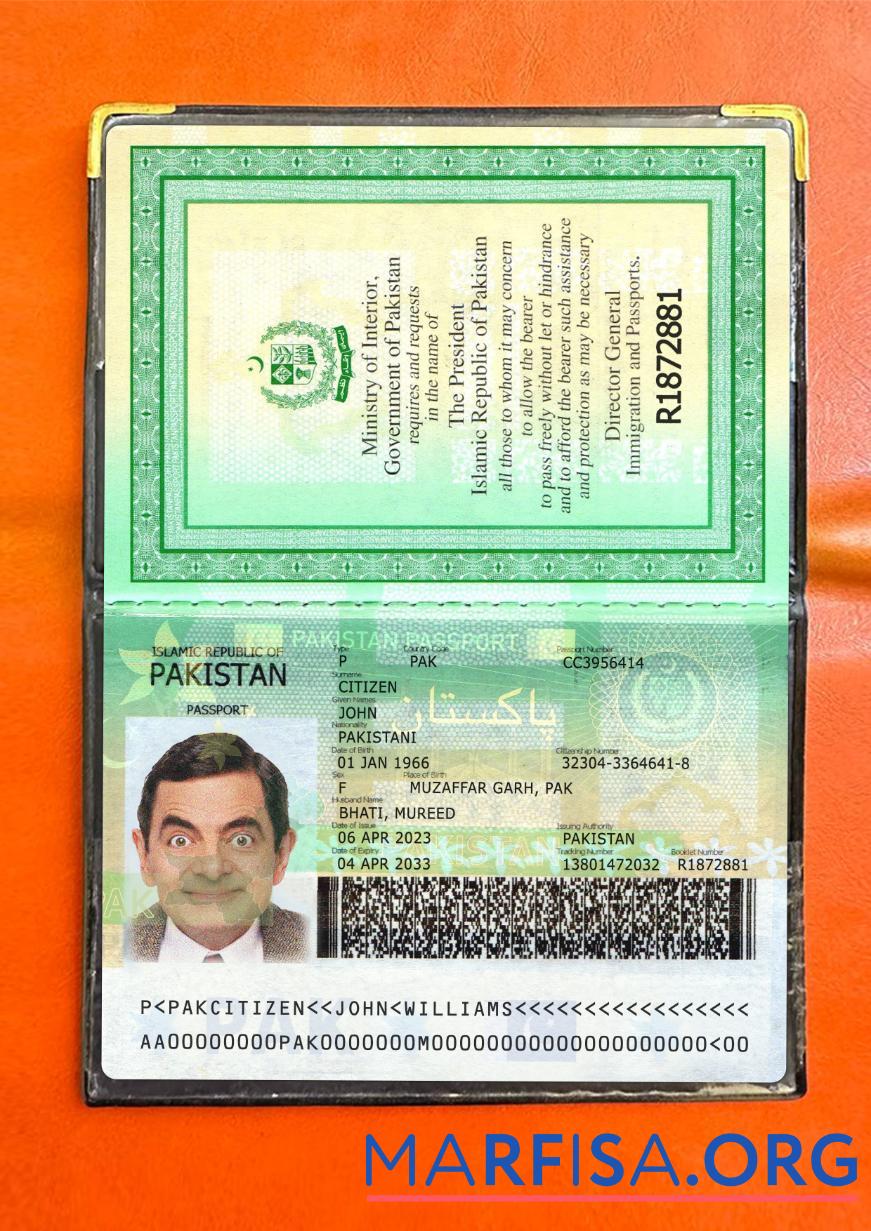 Printable Pakistan passport 2023 present version 2 photolook template
